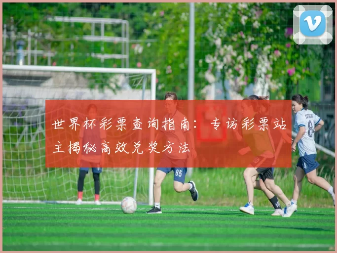 世界杯彩票查询指南：专访彩票站主揭秘高效兑奖方法
