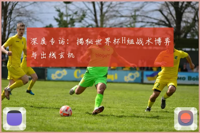 深度专访：揭秘世界杯H组战术博弈与出线玄机