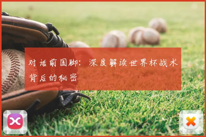 对话前国脚：深度解读世界杯战术背后的秘密