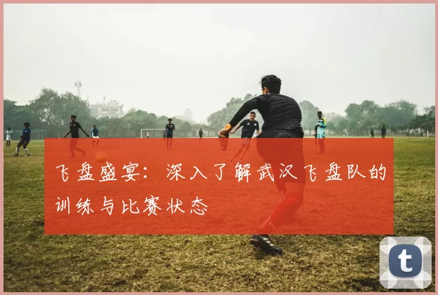 飞盘盛宴:深入了解武汉飞盘队的训练与比赛状态