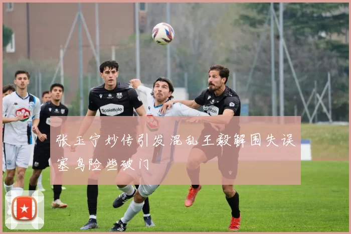 张玉宁妙传引发混乱王毅解围失误塞鸟险些破门
