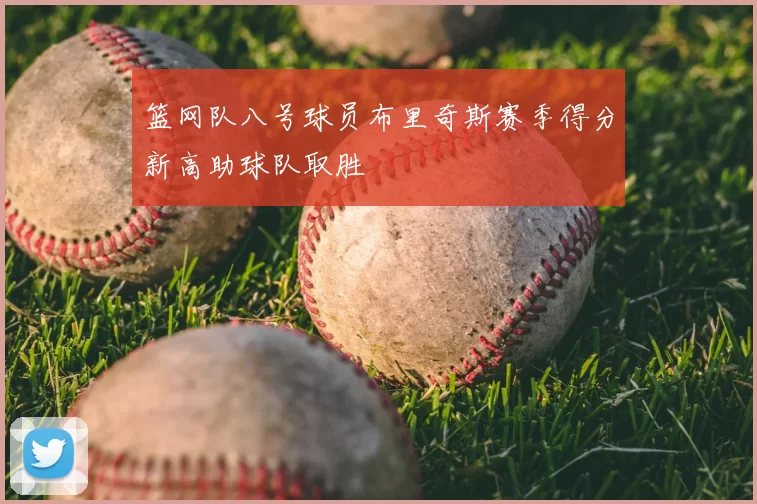 篮网队八号球员布里奇斯赛季得分新高助球队取胜