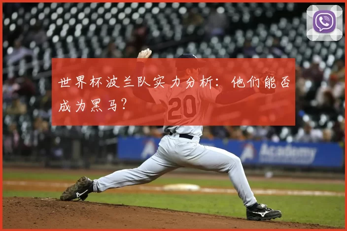 世界杯波兰队实力分析:他们能否成为黑马?