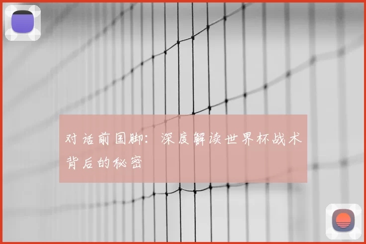 对话前国脚:深度解读世界杯战术背后的秘密