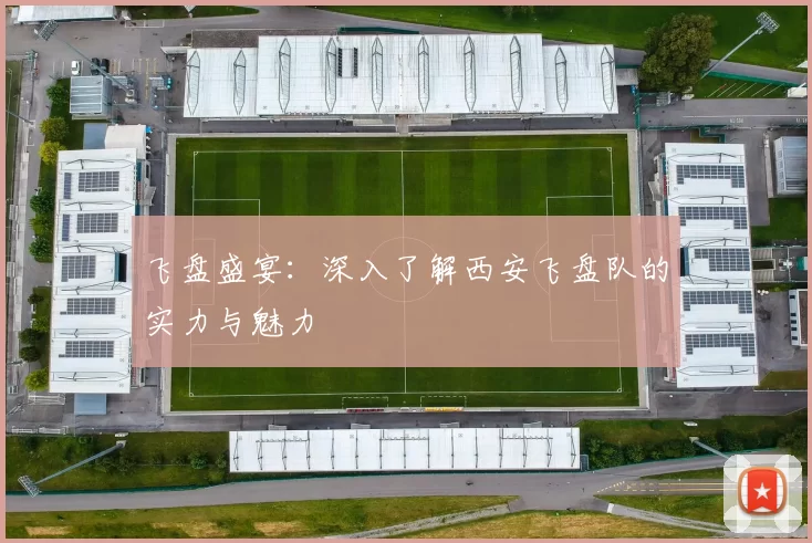 飞盘盛宴：深入了解西安飞盘队的实力与魅力