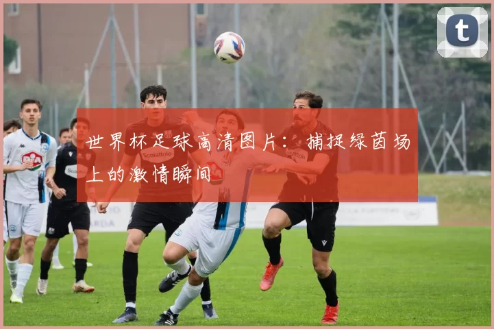 世界杯足球高清图片：捕捉绿茵场上的激情瞬间
