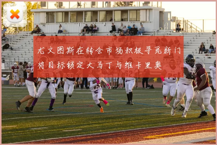 尤文图斯在转会市场积极寻觅新门将目标锁定大马丁与维卡里奥