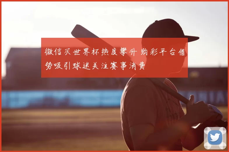 微信买世界杯热度攀升 购彩平台借势吸引球迷关注赛事消费