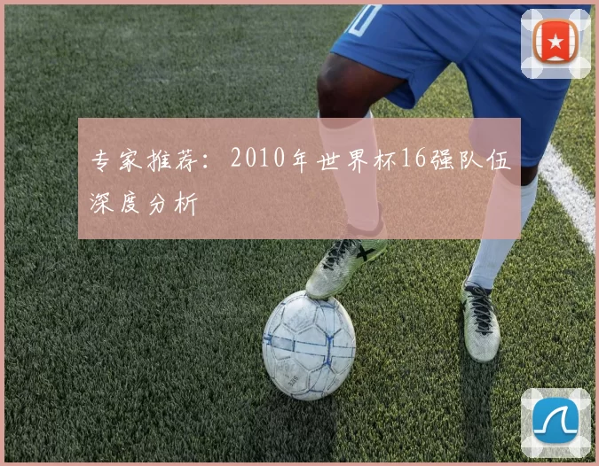专家推荐:2010年世界杯16强队伍深度分析