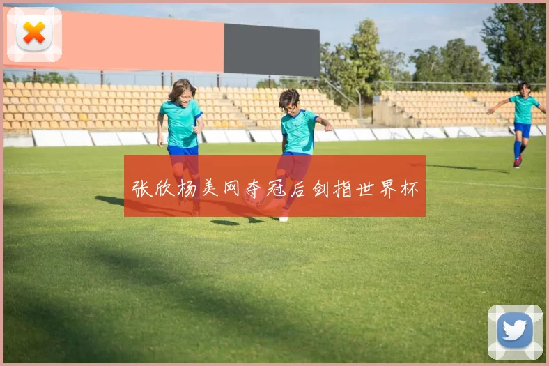 张欣杨美网夺冠后剑指世界杯