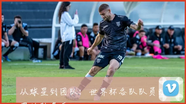 从球星到团队:世界杯各队队员配置的胜负手