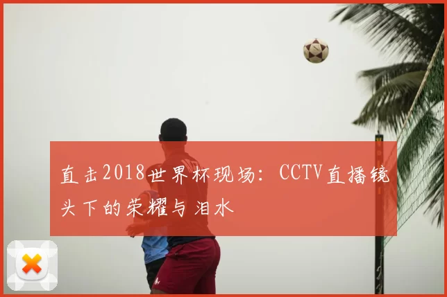 直击2018世界杯现场:CCTV直播镜头下的荣耀与泪水