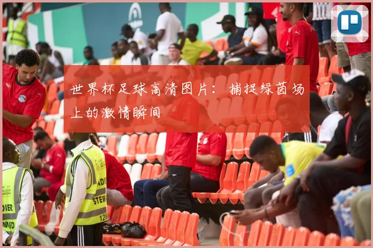 世界杯足球高清图片:捕捉绿茵场上的激情瞬间