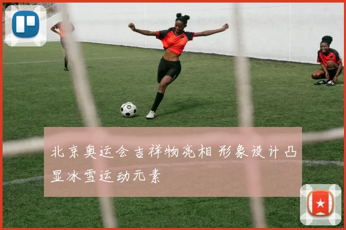北京奥运会吉祥物亮相 形象设计凸显冰雪运动元素