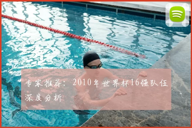 专家推荐：2010年世界杯16强队伍深度分析