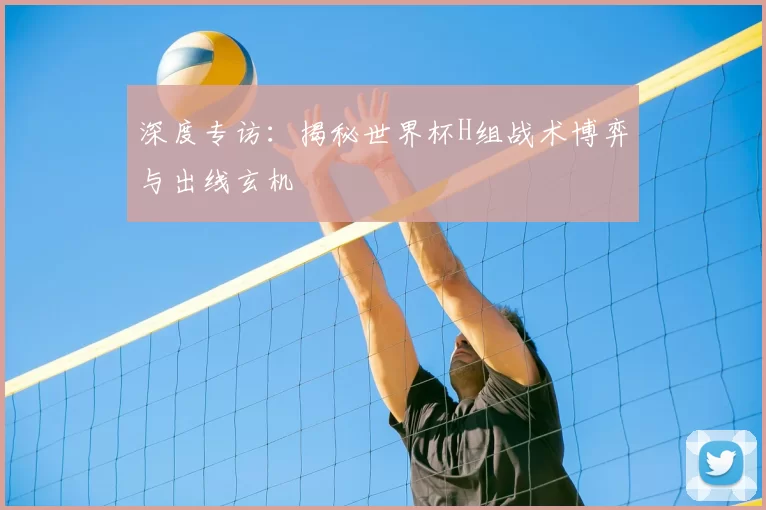 深度专访：揭秘世界杯H组战术博弈与出线玄机