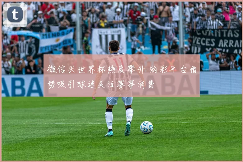 微信买世界杯热度攀升 购彩平台借势吸引球迷关注赛事消费