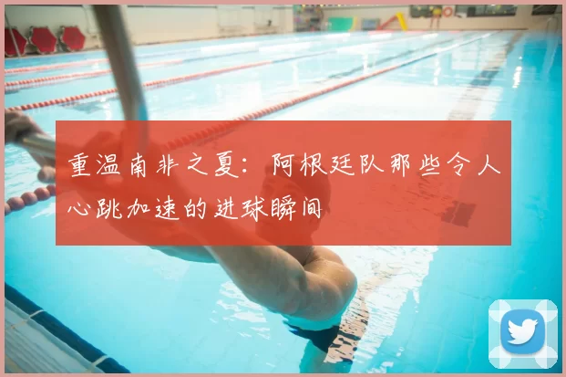 重温南非之夏:阿根廷队那些令人心跳加速的进球瞬间